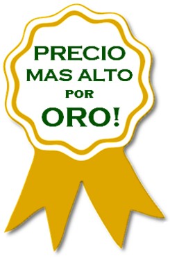Pagamos el Precio Mas Alto por Oro en Seguin!